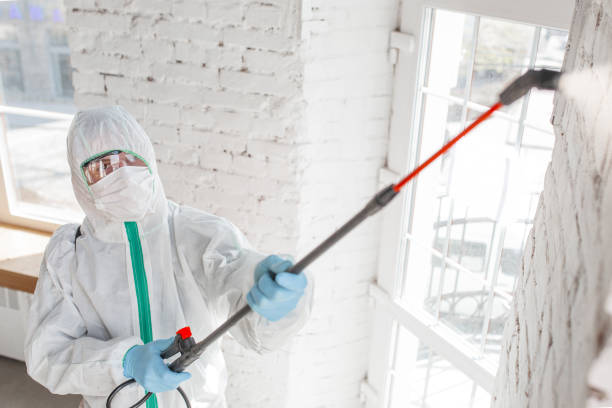 Best Real Estate Mold Inspection  in St Ansgar, IA