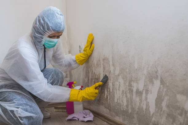 Best Air Quality Testing for Mold Spores  in St Ansgar, IA