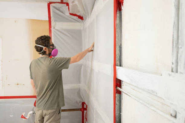 Best Mold Remediation for Healthcare Facilities  in St Ansgar, IA