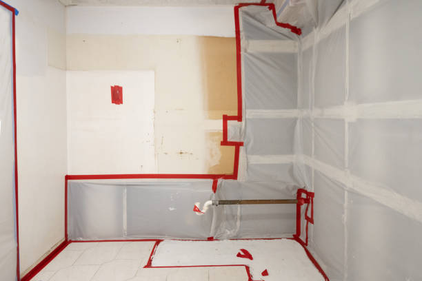 Best Commercial Mold Inspection  in St Ansgar, IA