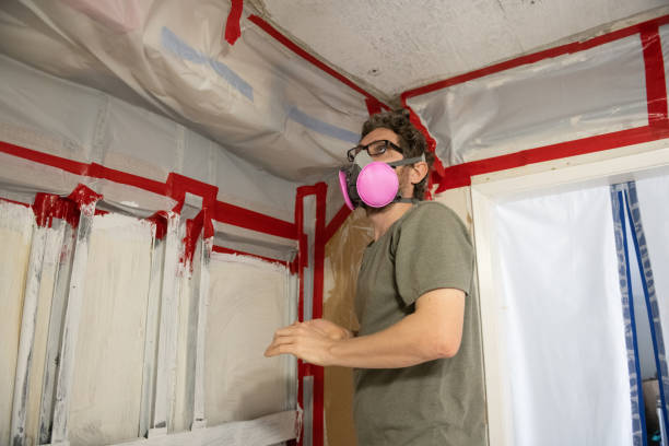 Best Post-Construction Mold Inspection  in St Ansgar, IA
