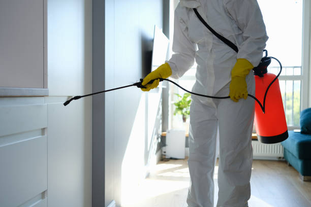 Best Comprehensive Air Testing for Mold Contaminants  in St Ansgar, IA