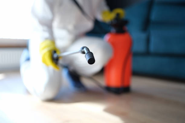 Best Mold Odor Removal Services  in St Ansgar, IA