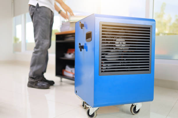 Best Indoor Air Quality Assessment  in St Ansgar, IA