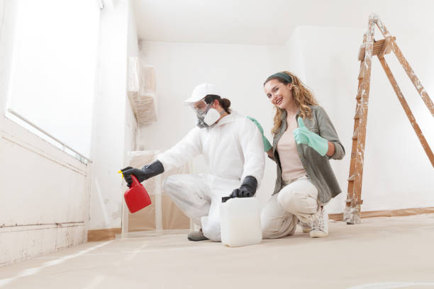 Best Forensic Mold Investigation  in St Ansgar, IA