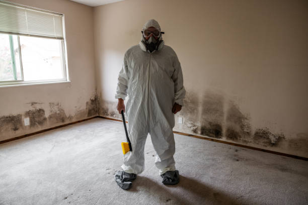 Best Crawl Space Mold Remediation  in St Ansgar, IA